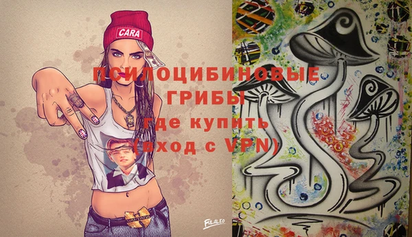 2c-b Алексин