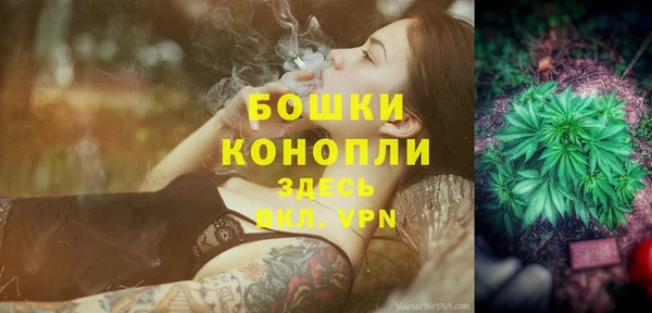 бошки Нея