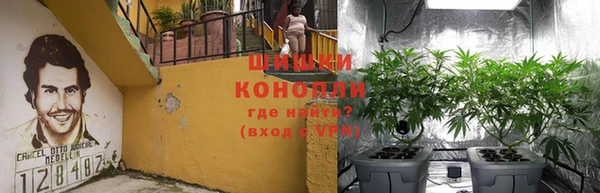 jwh Алзамай